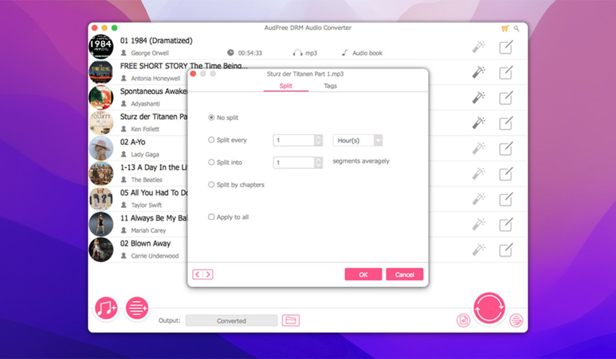 AudFree Audio Converter screenshot 3